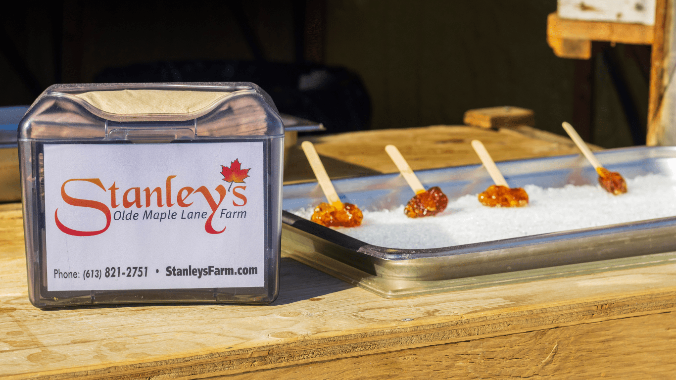 Stanley’s Olde Maple Lane Farm
