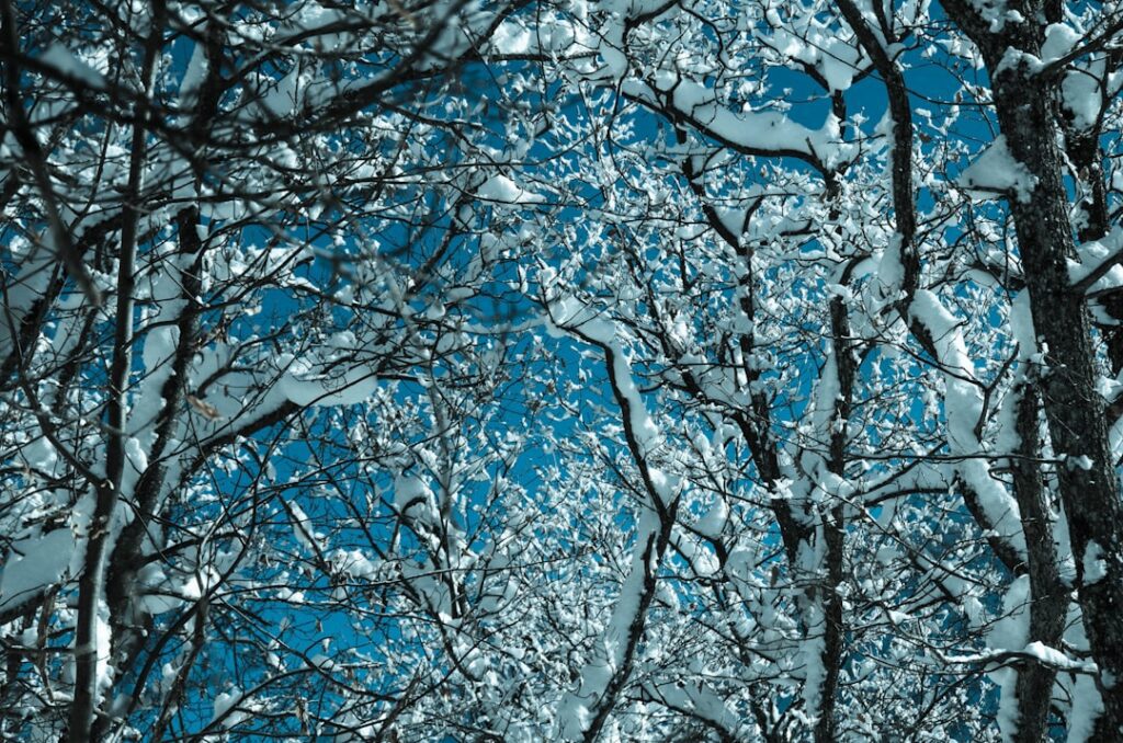 Coping With Winter Blues: Practical Ways to Stay Well Through Darker Months