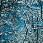 Coping With Winter Blues: Practical Ways to Stay Well Through Darker Months