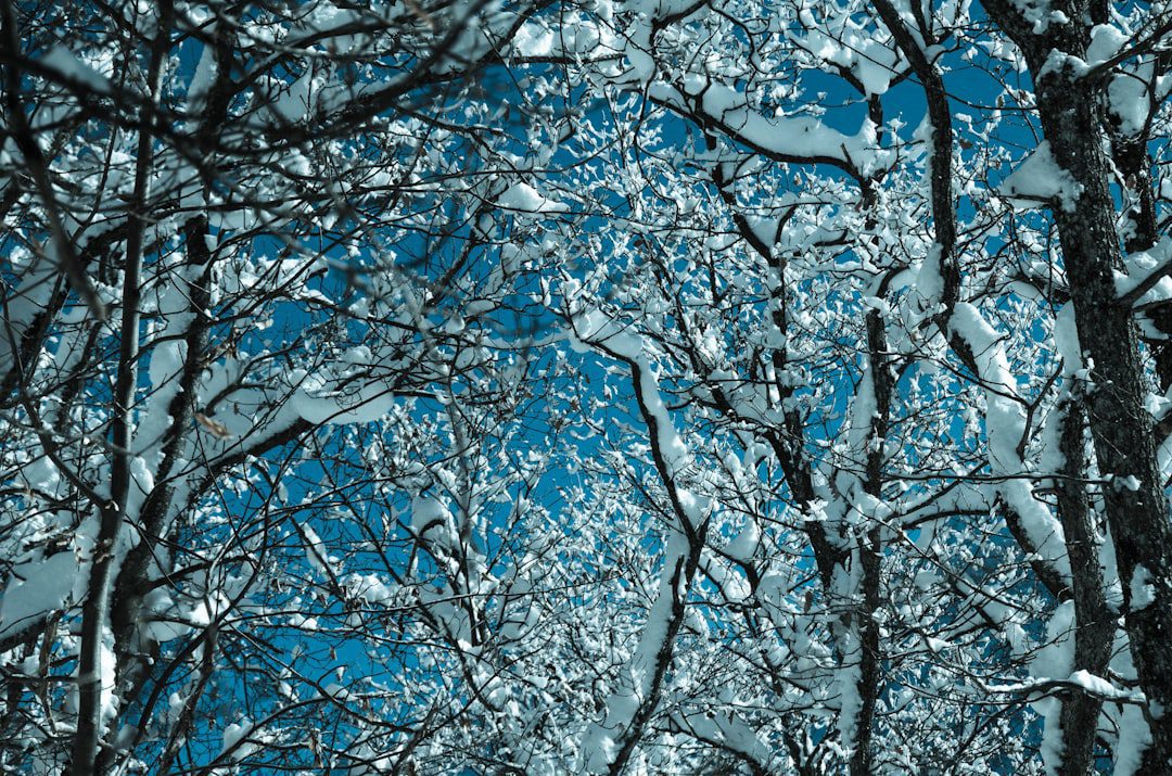 Coping With Winter Blues: Practical Ways to Stay Well Through Darker Months