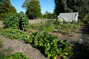 A lush garden with a greenhouse and mature trees.