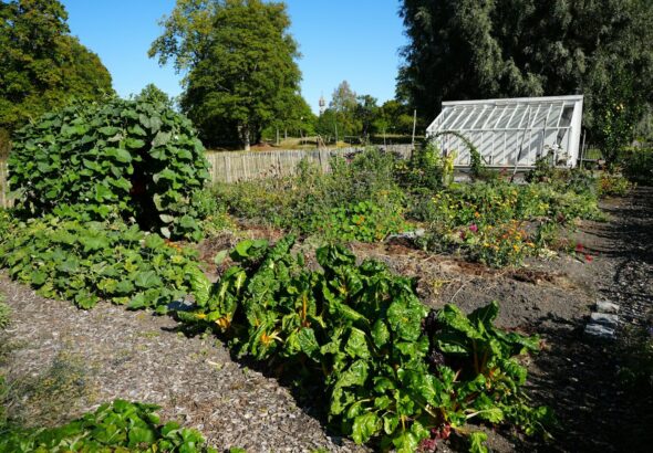A lush garden with a greenhouse and mature trees.